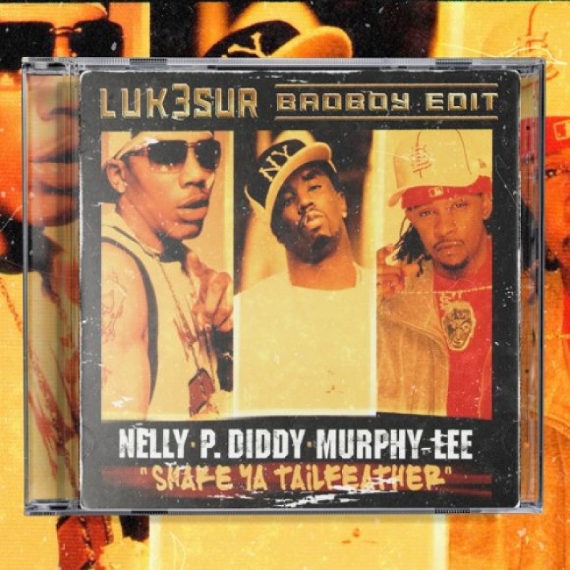 Nelly, P. Diddy & Murphy Lee - Shake Ya Tailfeather