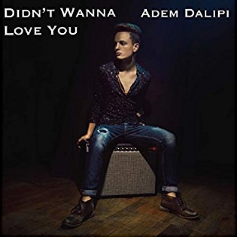 Adem - Didn't Wanna Love You