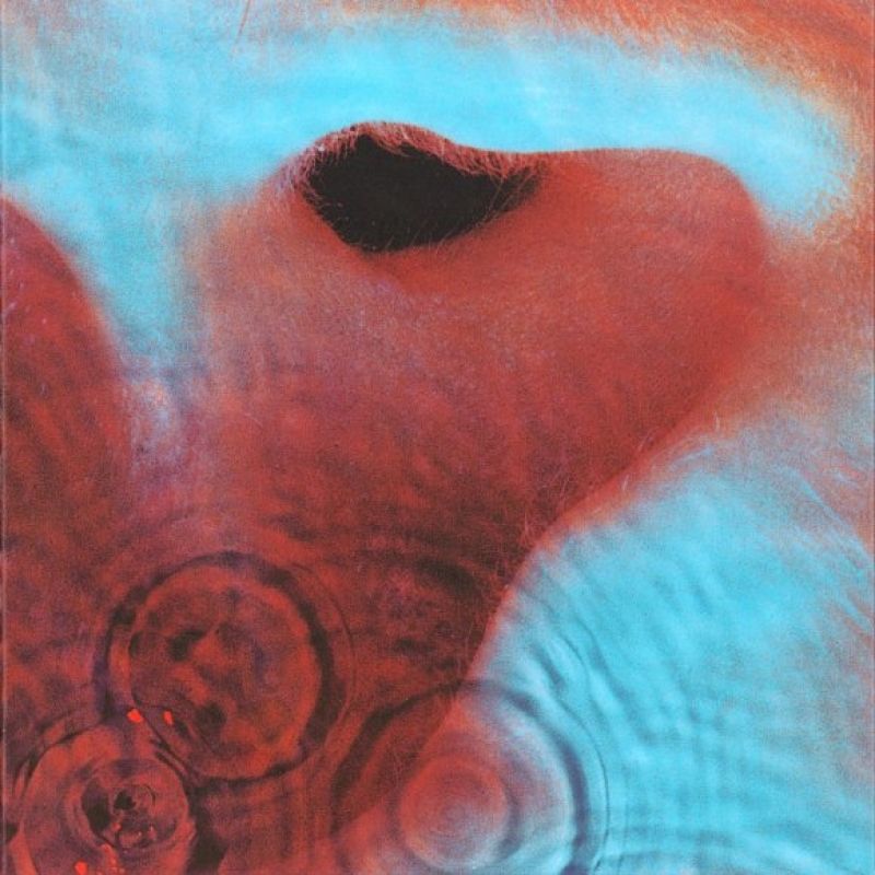 Pink Floyd - Echoes