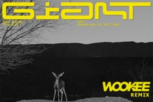 calvin-harris---rag-n-bone-man---giant.jpg