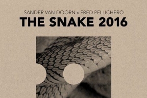sander-van-doorn---the-snake.jpg