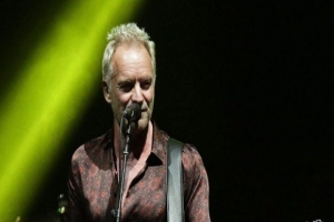 sting.jpg