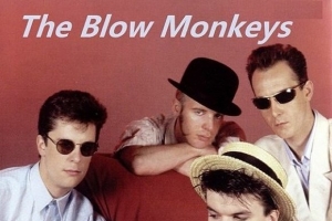 the-blow-monkeys.jpg