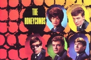 the-honeycombs---i-have-the-right.jpg