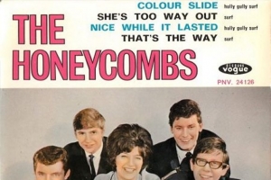the-honeycombs.jpg