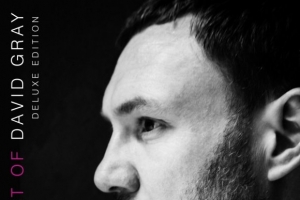 david-gray.jpg