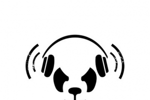 the-white-panda.jpg
