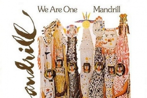 mandrill.jpg