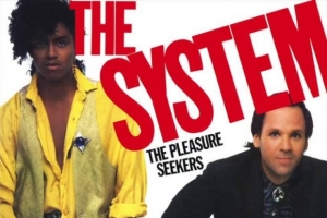 the-system.jpg