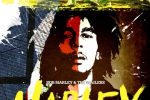 bob_marley_real_situation.jpg