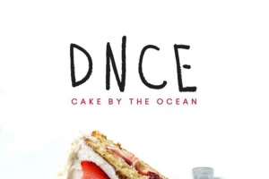 dnce_cake_by_the_ocean.jpg