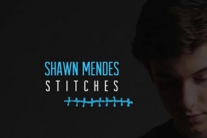 shawn_mendes_stitches.jpg