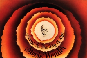 stevie_wonder_black_man.jpg