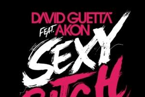 david_guetta_sexy_bitch_ft._akon_.jpg