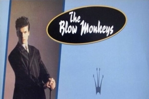 the_blow_monkeys_digging_your_scene.jpg