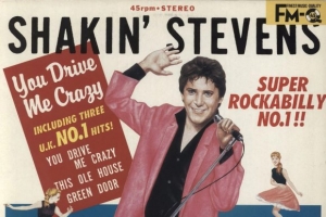 shakin_stevens_you_drive_me_crazy.jpg