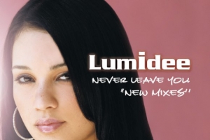 lumidee_i_ll_never_leave_you_reggae_remix_.jpg