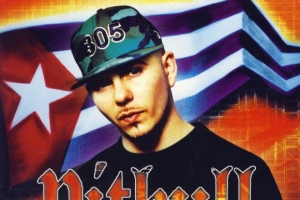 pitbull_culo_ft._sean_paul_lil_jon_remix_.jpg