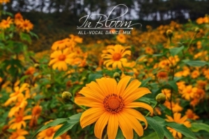 markus_schulz_global_dj_broadcast_in_bloom_2025_vocal_dance_mix_.jpg
