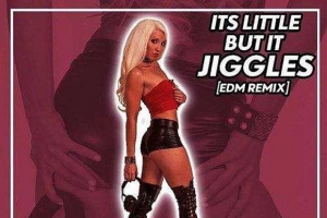 alicia-g---it-s-little-but-it-jiggles--edm-remix-.jpg