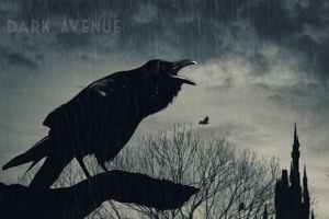 dark-avenue.jpg