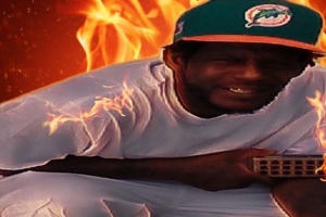flaw-follie.jpg