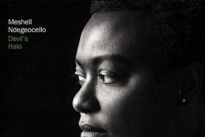 me-shell-ndegeocello.jpg