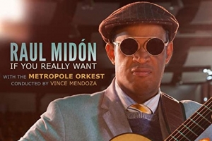 raul-midon.jpg