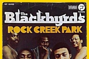 the-blackbyrds.jpg