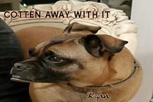 ryan-matter---gotten-away-with-it.jpg