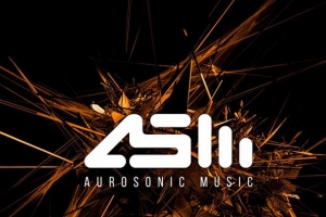 aurosonic--stine-grove---in-euphoria-we-rise--progressive-mix-.jpg