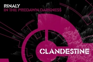 rinaly---in-the-predawn-darkness--extended-mix-.jpg
