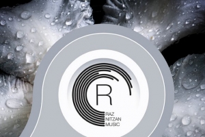 jan-johnston--jonas-steur---little-white-lies--original-mix-.jpg