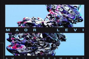 maor-levi--roel---doors--ft.-roel---extended-mix-.jpg