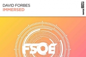 david-forbes---immersed--extended-mix-.jpg