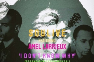 soulive---i-don-t-know--ft.-amel-larrieux-.jpg