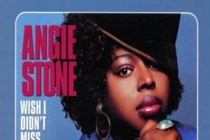 angie-stone---wish-i-didn-t-miss-you.jpg