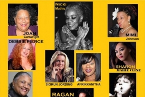 dotti-anita-taylor---it-s-misterious.jpg