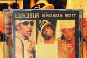 nelly--p.-diddy---murphy-lee---shake-ya-tailfeather.jpg
