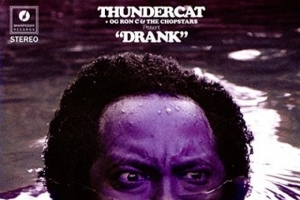 thundercat---show-you-the-way--ft.-michael-mcdo-.jpg