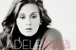 adele---don-t-you-remember.jpg