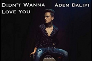 adem---didn-t-wanna-love-you.jpg