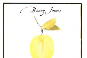boney-james---in-the-rain.jpg
