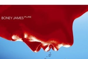 boney-james---stone-groove.jpg