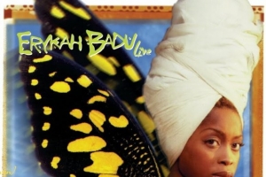 erykah-badu---searching.jpg