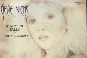 stevie-nicks---if-anyone-falls.jpg