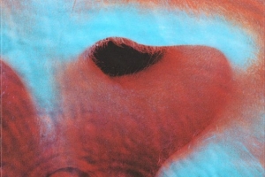 pink-floyd---echoes.jpg