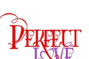preech-excel---perfect-love.jpg