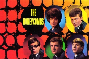 the-honeycombs---have-i-the-right.jpg