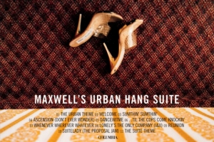 maxwell---the-suite-theme.jpg